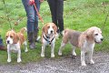 Afb_20131117_Bruno (4) uitsn